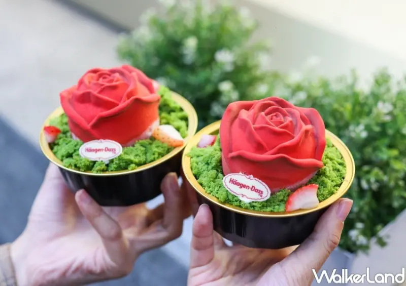 哈根達斯 掌心玫瑰冰淇淋蛋糕  / WalkerLand窩客島整理提供 未經許可，不得轉載