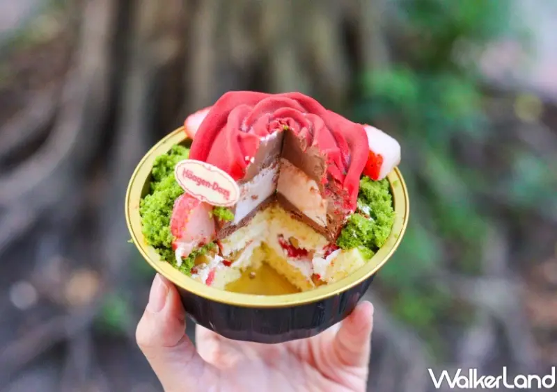 哈根達斯 掌心玫瑰 切面 / WalkerLand窩客島整理提供 未經許可，不得轉載
