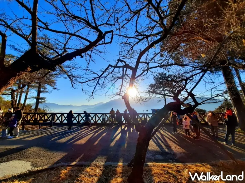 祝山觀日列車開行時刻表資訊