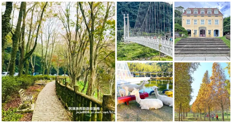 大溪私藏景點帶你看！桃園必訪「7個大溪景點」打卡名單，「北台灣最大楓林地、歐風莊園親子農場」年末旅行衝一波。