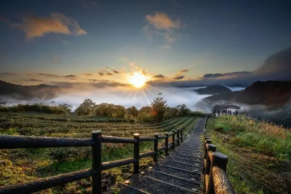 新年日出觀賞勝地推薦：坪林南山寺景觀平台 / WalkerLand窩客島整理提供 未經許可不可轉載