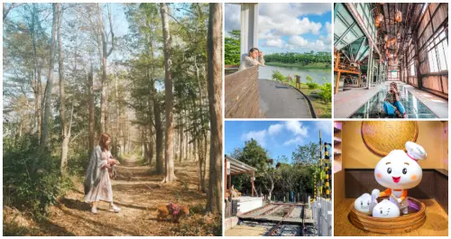 走入仁德美麗角落！7個台南仁德打卡點「台版霍格華茲、秘境環湖步道、網美鐵路公園」超搶手，好拍程度不輸奇美博物館。