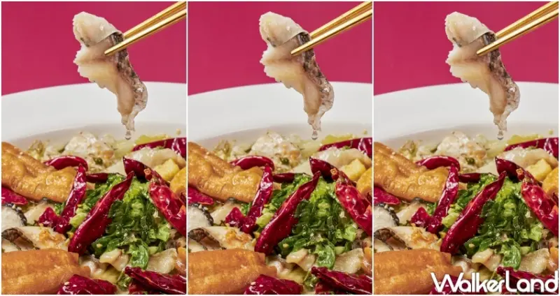 叁加叁 鴛鴦泡椒酸菜魚 推薦湯底  / WalkerLand窩客島整理提供 未經許可，不得轉載