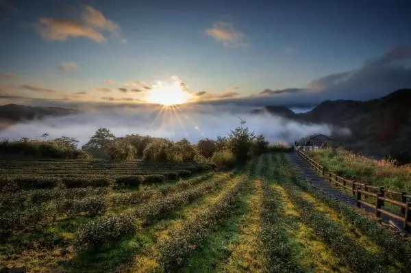 新年日出觀賞勝地推薦：坪林南山寺景觀平台 / WalkerLand窩客島整理提供 未經許可不可轉載