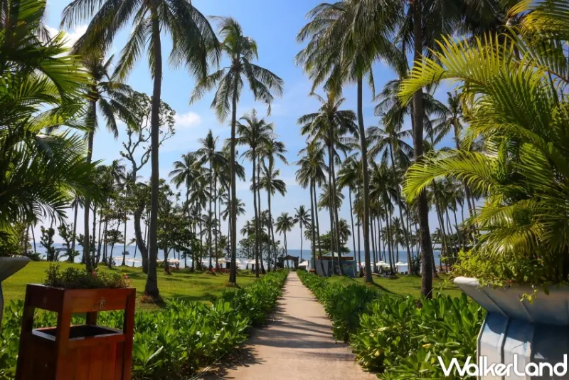 越捷航空直飛富國島 / WalkerLand窩客島整理提供 未經許可，不得轉載