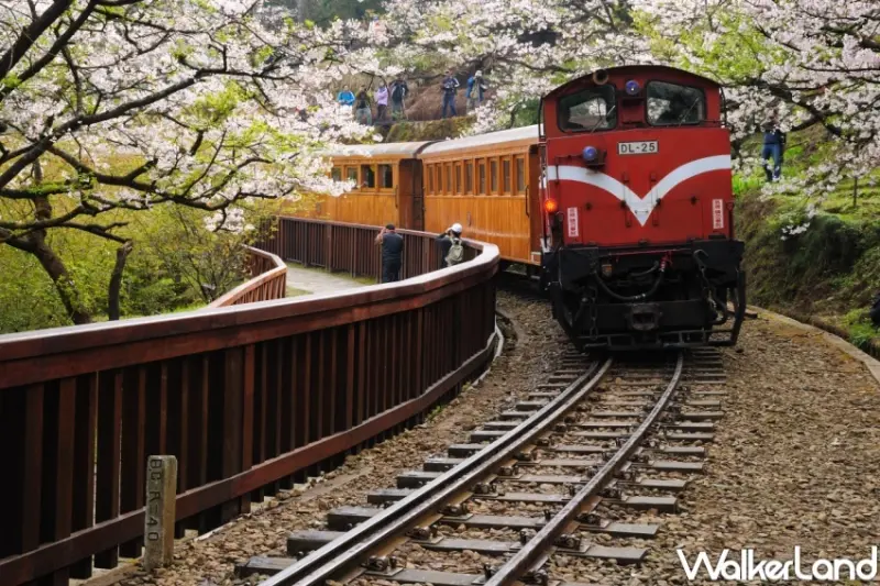 易遊網 全球賞櫻盛典 / WalkerLand窩客島整理提供 未經許可，不得轉載