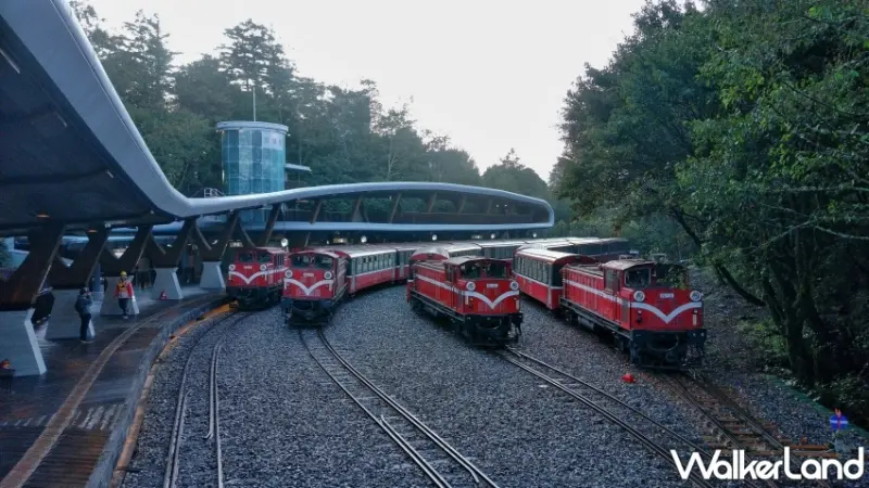 祝山觀日列車開行時刻表資訊