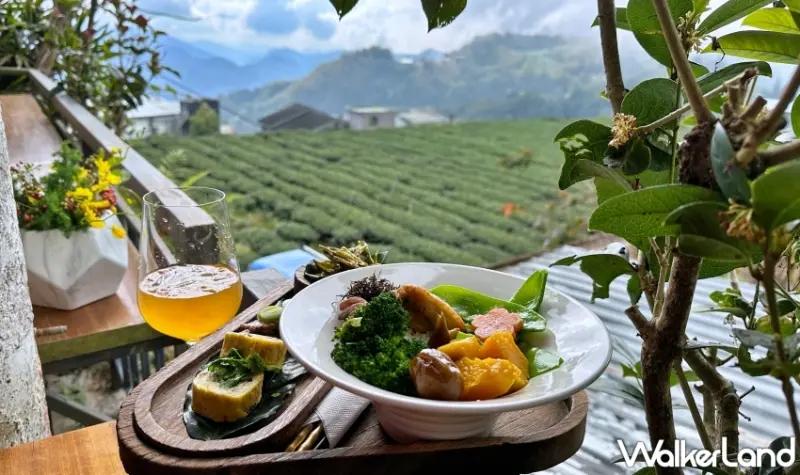 阿里山英迪格酒店．潮遊山林自駕2天 $7,990起