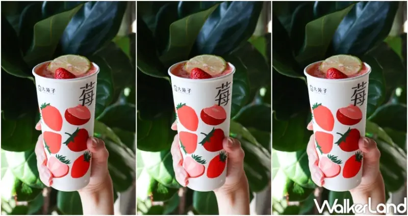 大苑子草莓季X折田菓舖 快閃店  / WalkerLand窩客島整理提供 未經許可，不得轉載