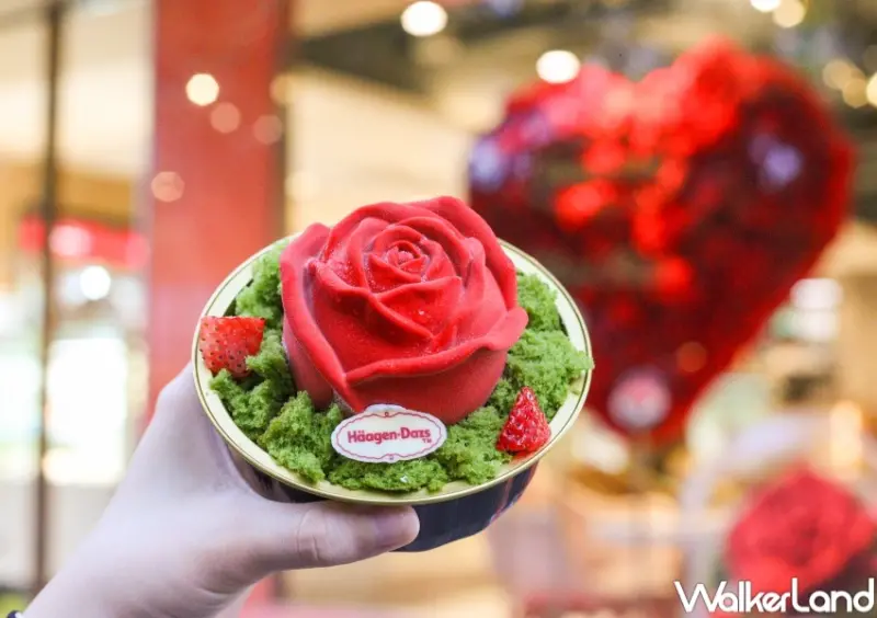 哈根達斯 掌心玫瑰  / WalkerLand窩客島整理提供 未經許可，不得轉載