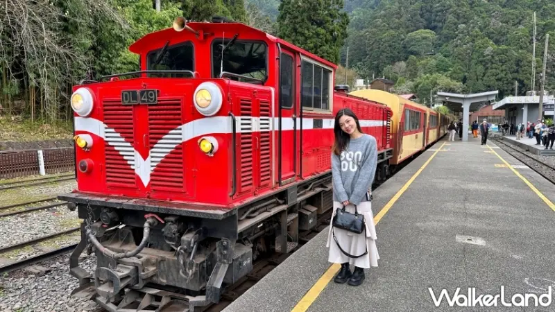 阿里山英迪格酒店．潮遊山林自駕2天 $7,990起