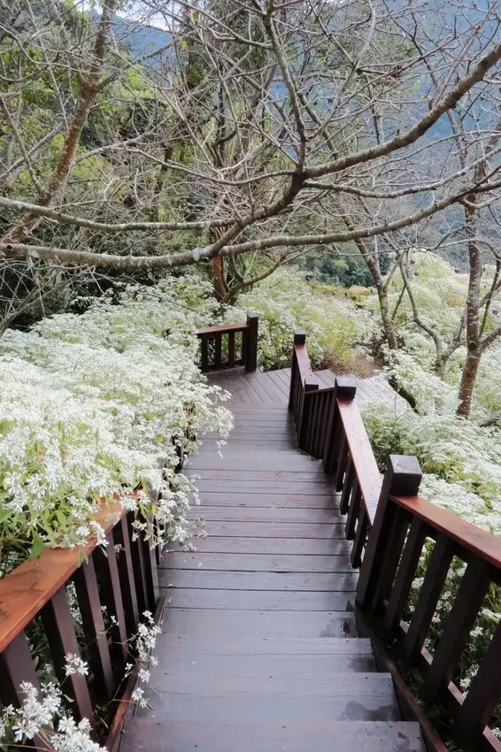  沐心泉休閒農場/ WalkerLand窩客島整理提供 未經許可不可轉載