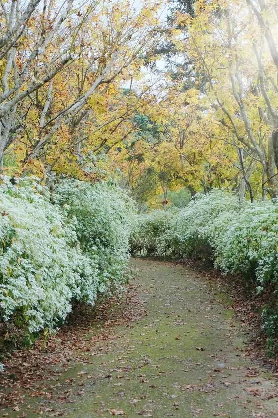  沐心泉休閒農場/ WalkerLand窩客島整理提供 未經許可不可轉載