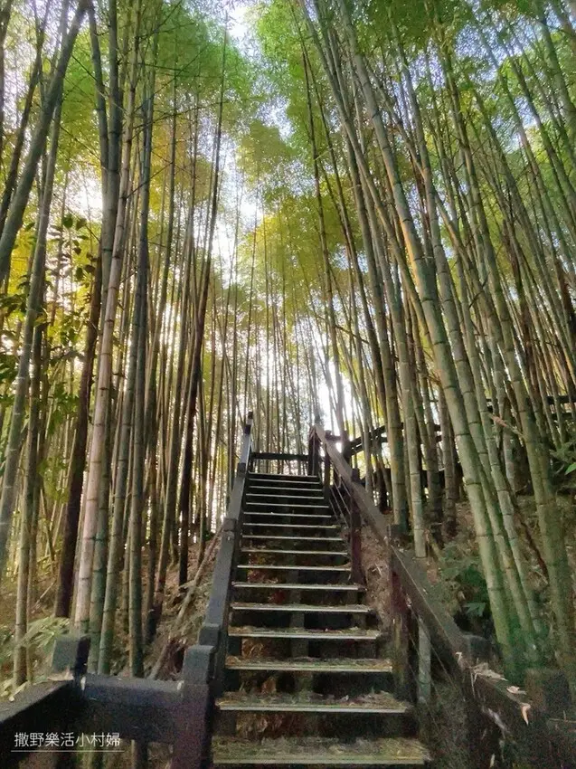  石棹步道群/ WalkerLand窩客島整理提供 未經許可不可轉載