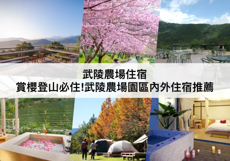 宜蘭縣大同鄉【TOP5 武陵農場住宿 】武陵賞櫻登山必住!
