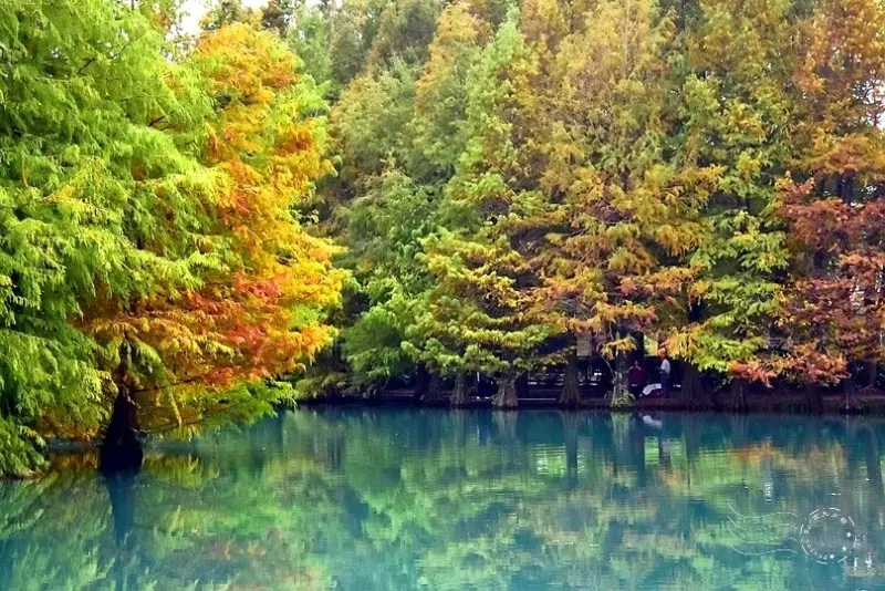  花蓮雲山水夢幻湖/ WalkerLand窩客島整理提供 未經許可不可轉載