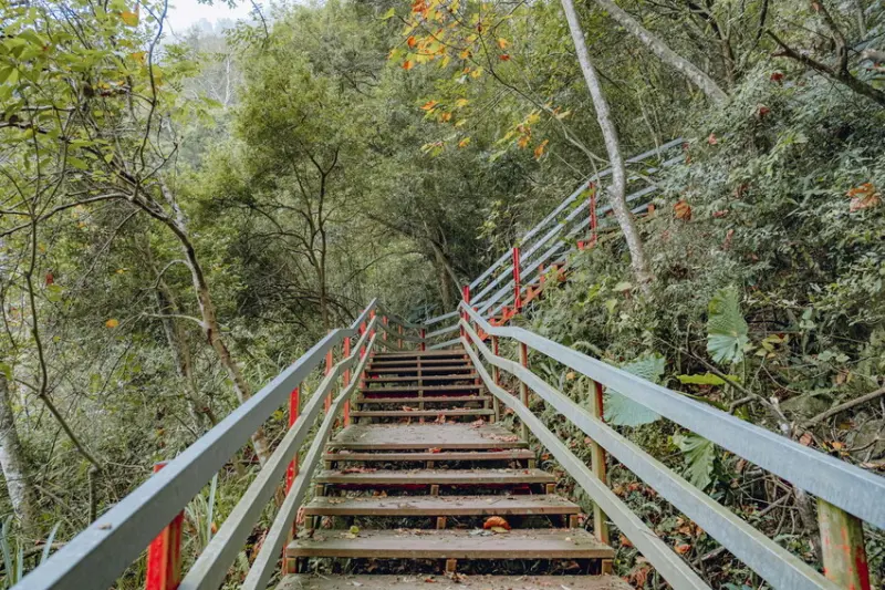 苗栗泰安登山步道推薦/ WalkerLand窩客島整理提供 未經許可不可轉載