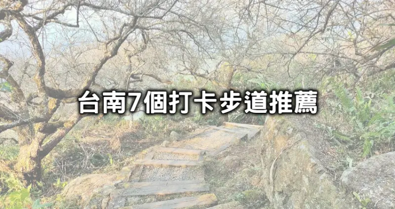 不能只會拍古蹟！打卡必拍「7個台南私藏步道」名單公開，在地人賞梅秘境、森林系觀景步道全要衝。