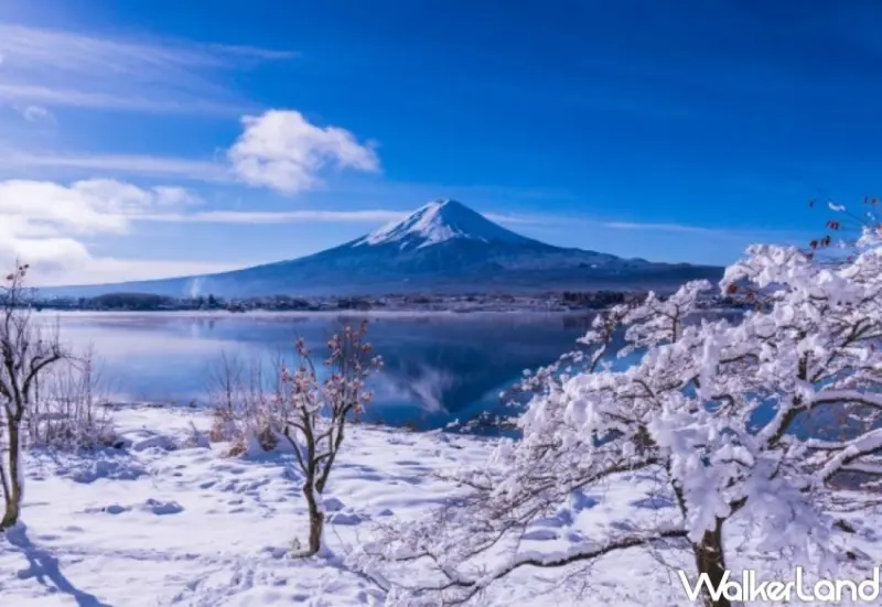 KKday日本、韓國一日遊行程推薦清單 / WalkerLand窩客島整理提供 未經許可，不得轉載