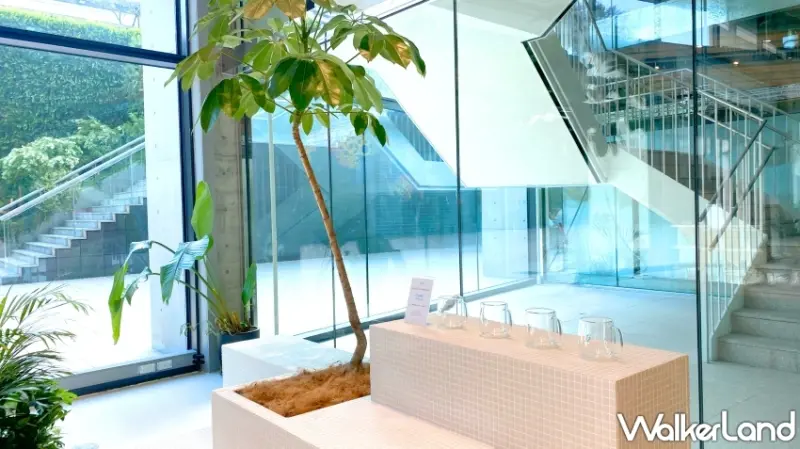 海邊走走「愛餡年獸春節系列禮盒」福運龍總來