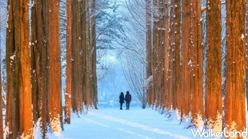 KKday日本、韓國一日遊行程推薦清單 / WalkerLand窩客島整理提供 未經許可，不得轉載