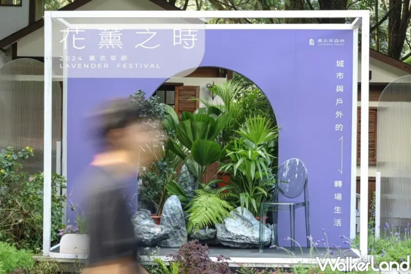 薰衣草森林 2024薰衣草節「花薰之時」  / WalkerLand窩客島整理提供 未經許可，不得轉載