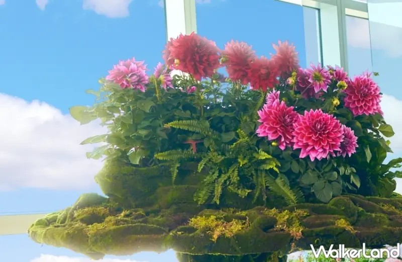 台北101秘境花園觀景台89樓「蕨美之蘭」年度特展