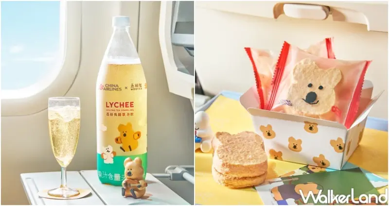 五桐號X華航 聯名機上點心  / WalkerLand窩客島整理提供 未經許可，不得轉載
