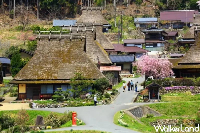 KKday日本、韓國一日遊行程推薦清單 / WalkerLand窩客島整理提供 未經許可，不得轉載