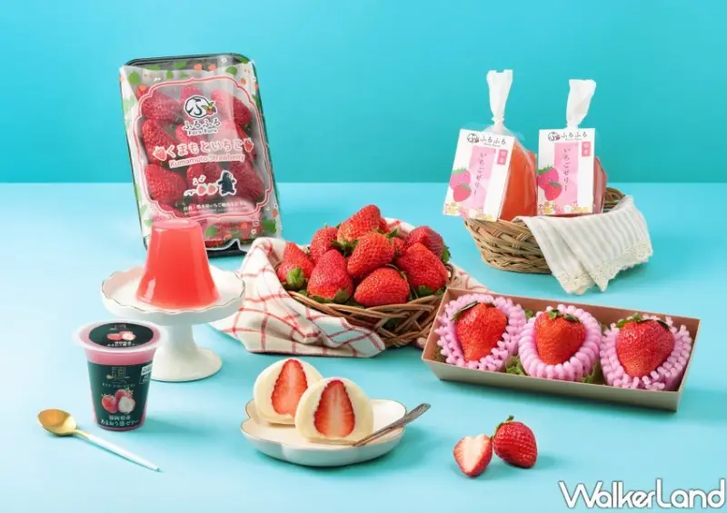 唐吉訶德DON DON DONKI日本草莓季/ WalkerLand窩客島整理提供 未經許可不可轉載。