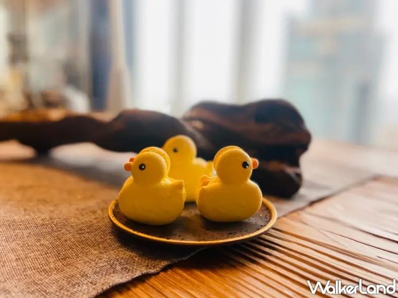 承億小鴨有私人艇、華園與千隻小鴨共游、高雄漢來小鴨美食秀