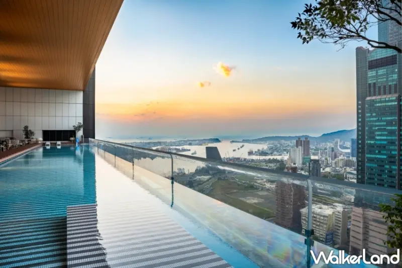 承億小鴨有私人艇、華園與千隻小鴨共游、高雄漢來小鴨美食秀