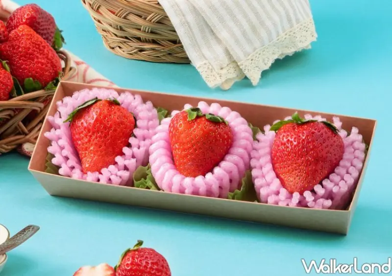 唐吉訶德DON DON DONKI日本草莓季/ WalkerLand窩客島整理提供 未經許可不可轉載。
