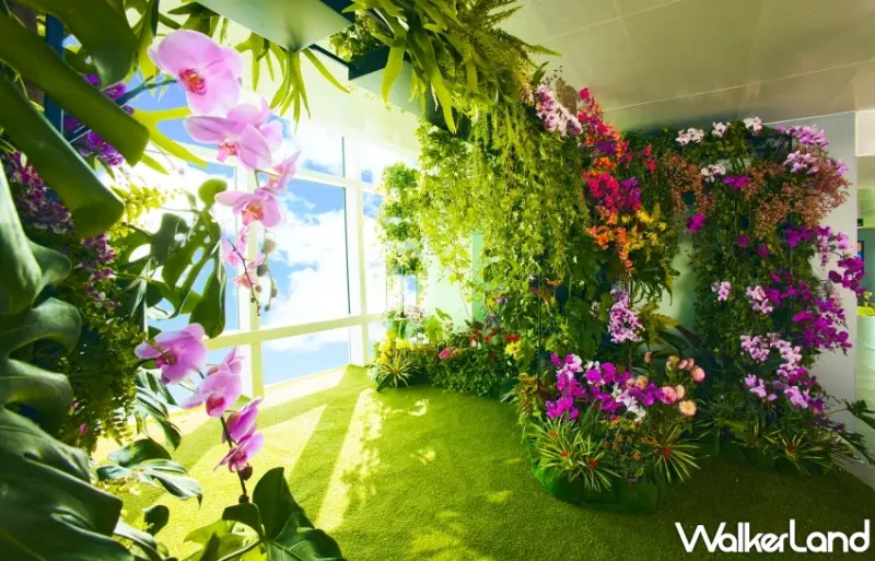 台北101秘境花園觀景台89樓「蕨美之蘭」年度特展