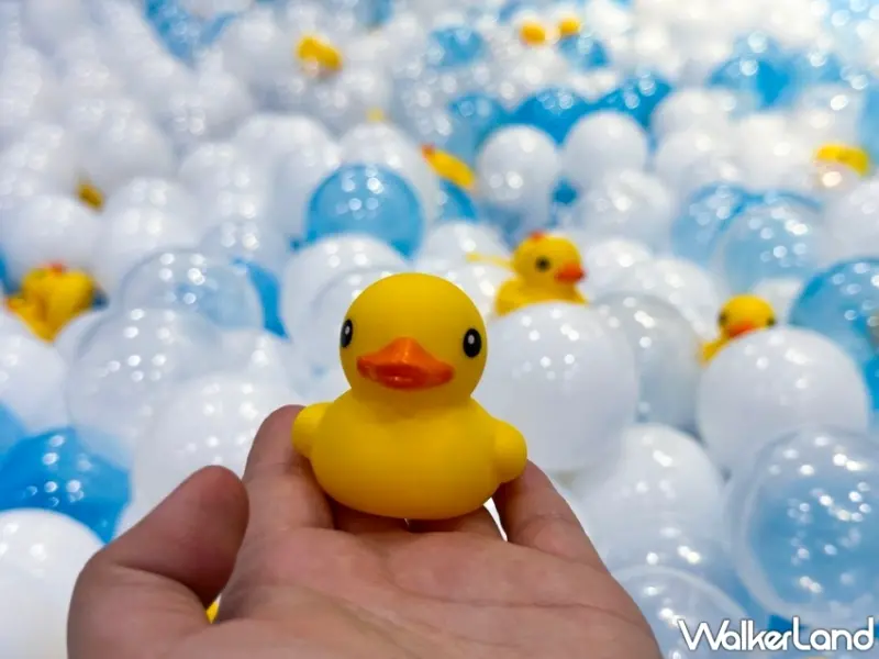 承億小鴨有私人艇、華園與千隻小鴨共游、高雄漢來小鴨美食秀