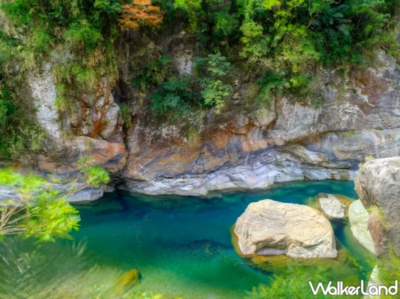 太魯閣晶英酒 返鄉投票優惠