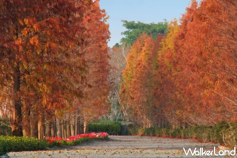 ​​​​​​​成美文化園 2024春節五大亮點