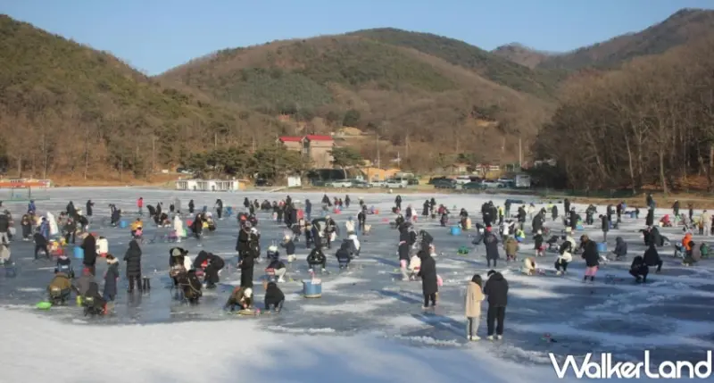 KKday日本、韓國一日遊行程推薦清單 / WalkerLand窩客島整理提供 未經許可，不得轉載
