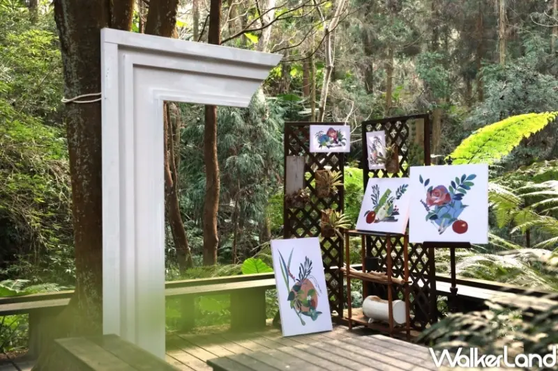 薰衣草森林 2024薰衣草節「花薰之時」  / WalkerLand窩客島整理提供 未經許可，不得轉載