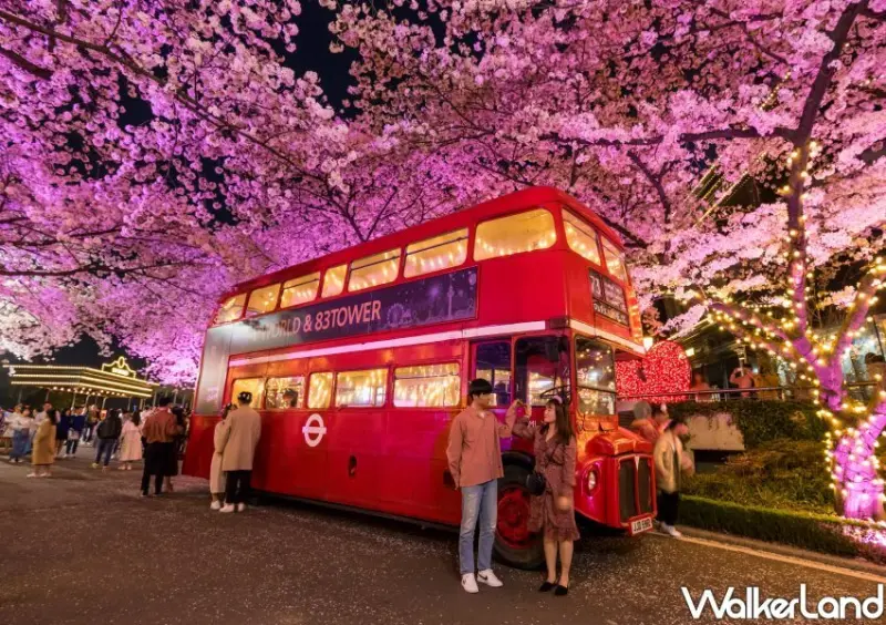 燦星旅遊 釜山賞櫻包機/ WalkerLand窩客島整理提供 未經許可不可轉載。