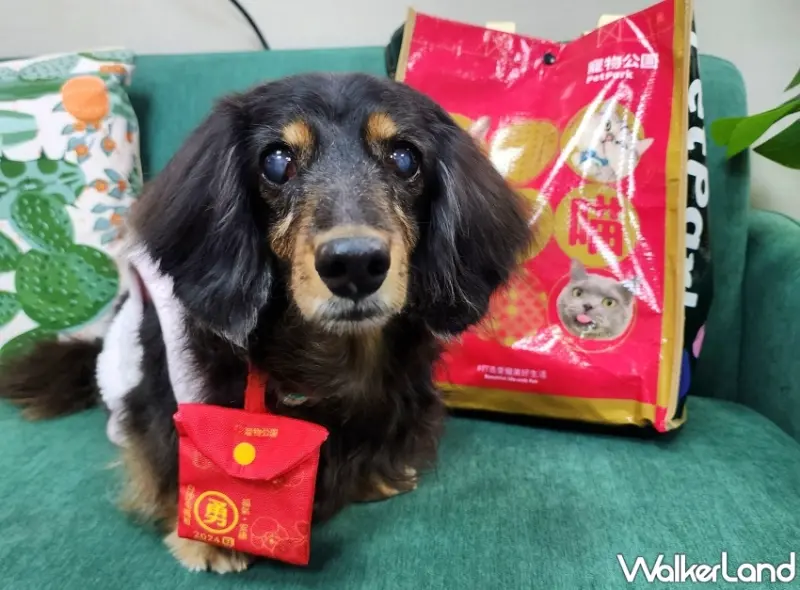 寵物公園2024龍年限定福袋下殺4.4折