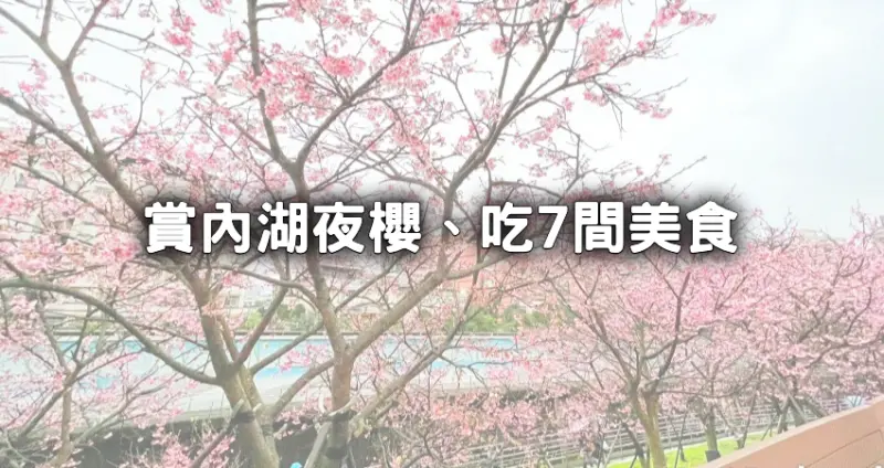 內湖夜櫻開了！35天耍浪漫「內湖樂活夜櫻季」內湖人先衝，7間東湖站美食「老字號餡餅、最強水餃」順便吃。