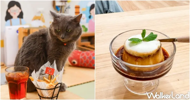 転運棧-貓中途咖啡廳  / WalkerLand窩客島整理提供 未經許可，不得轉載