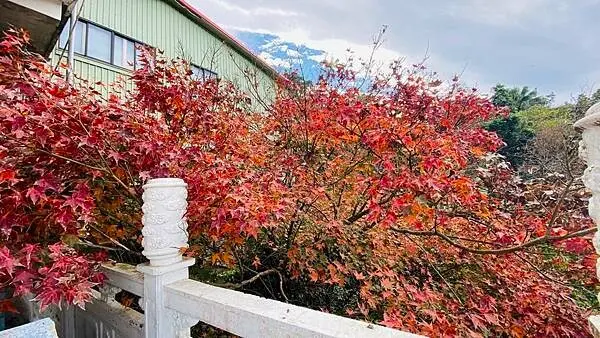  / WalkerLand窩客島整理提供 未經許可不可轉載