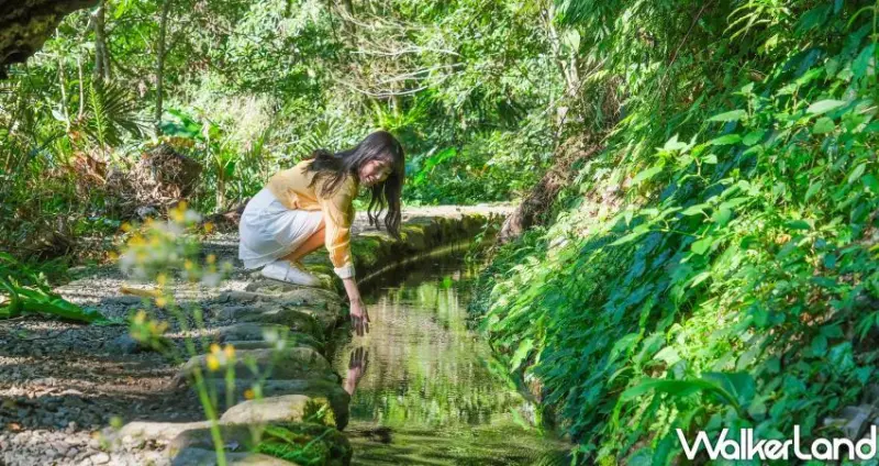 只知烏來老街很不行！烏來最美秘境「德拉楠」古圳步道、拱橋流水、櫻花相伴美出新高度，順遊吃「5選烏來美食」。