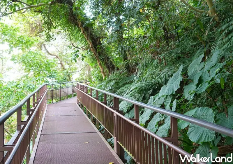 台北公館小觀音山木棧道 / WalkerLand窩客島整理提供 未經許可不可轉載。