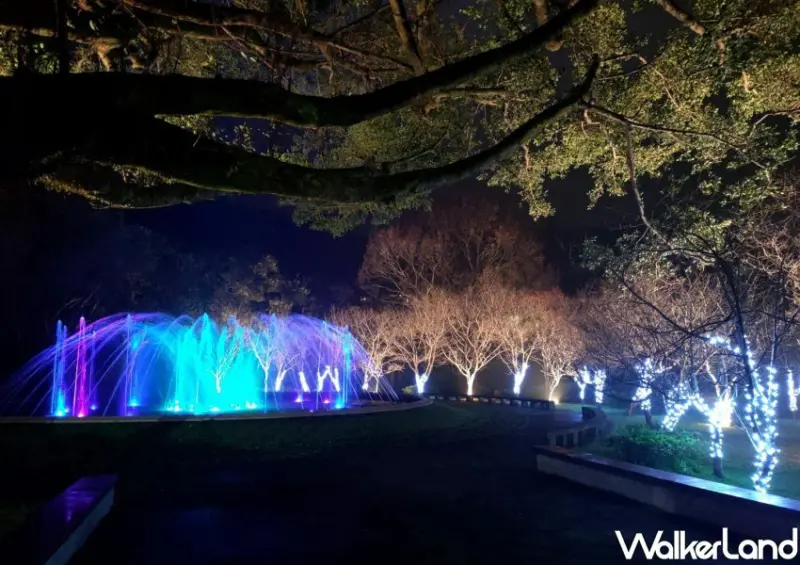 ​​​​​​​陽明山花季/ WalkerLand窩客島整理提供 未經許可不可轉載。