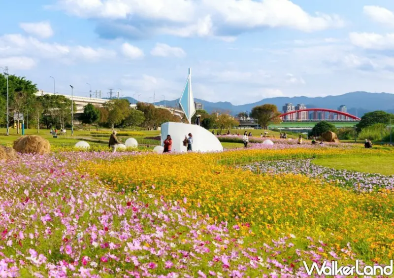 古亭河濱公園花海 / WalkerLand窩客島整理提供 未經許可不可轉載。