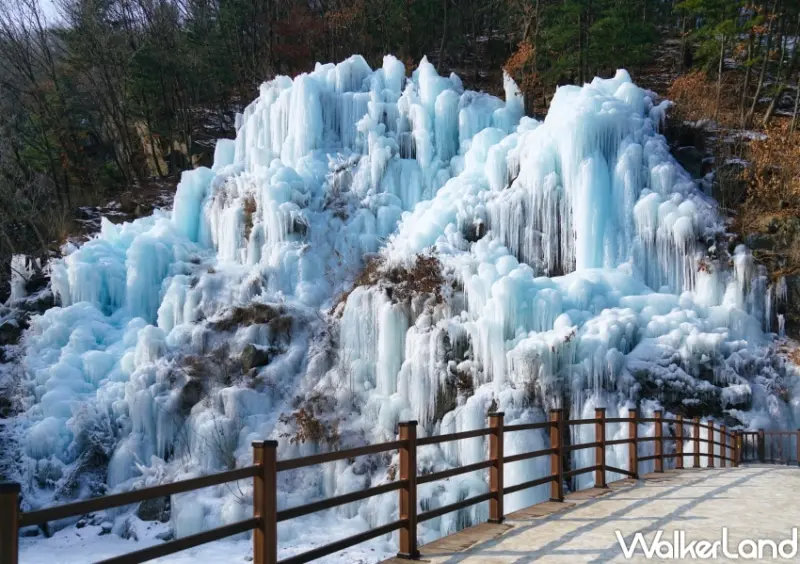 易遊網日韓一日遊行程排行榜  / WalkerLand窩客島整理提供 未經許可，不得轉載