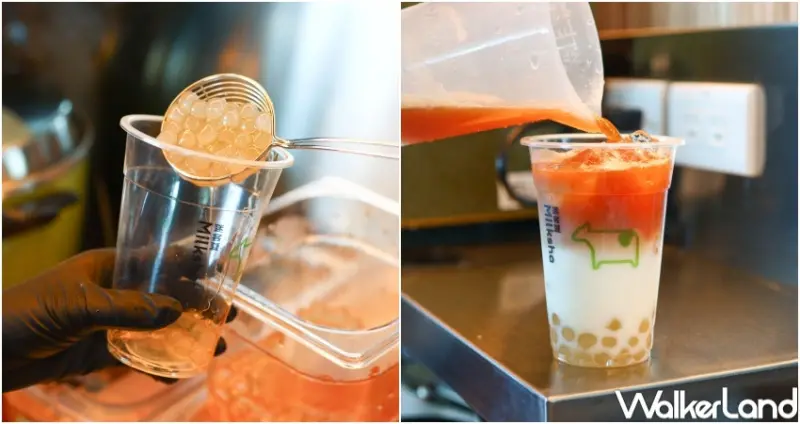 迷客夏 台北101觀景店  / WalkerLand窩客島整理提供 未經許可，不得轉載